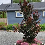 Leilighet Kleines Haus Am Fjord