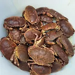 Kleines Haus Am Fjord * Sor-Eidem